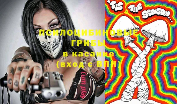 стаф Михайлов
