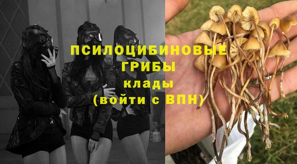 стаф Михайлов