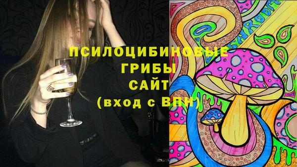 стаф Михайлов