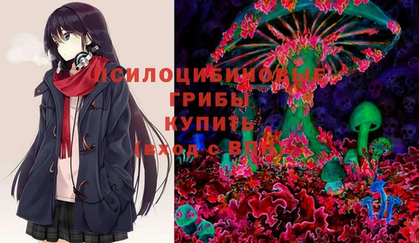PSILOCYBIN Михайловск