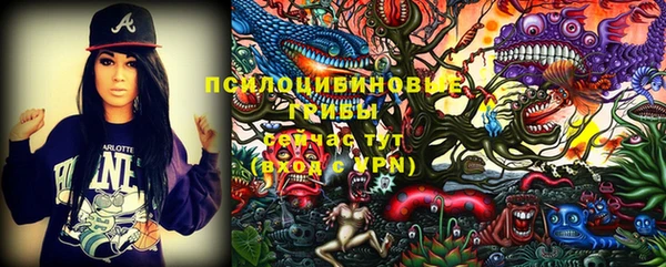 PSILOCYBIN Михайловск