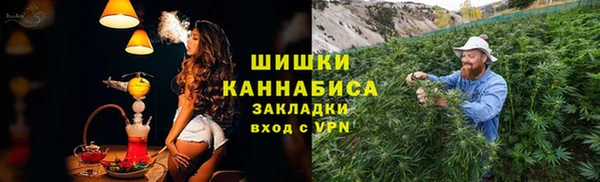 стаф Михайлов